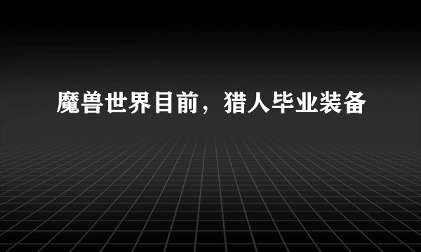 魔兽世界目前，猎人毕业装备