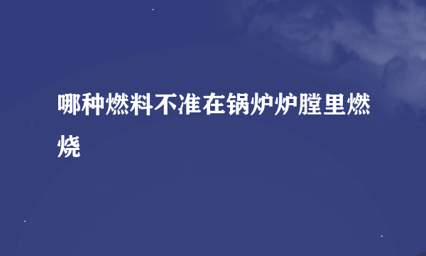 哪种燃料不准在锅炉炉膛里燃烧