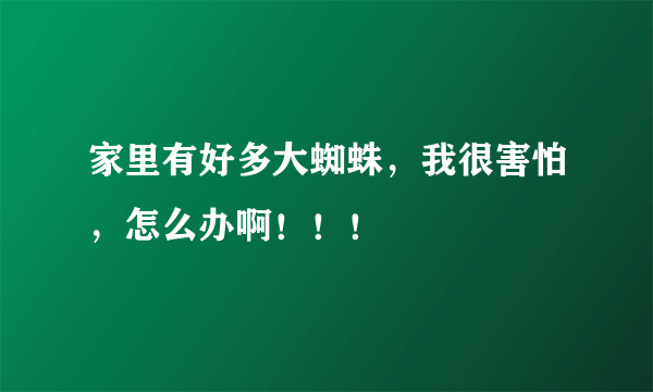 家里有好多大蜘蛛，我很害怕，怎么办啊！！！