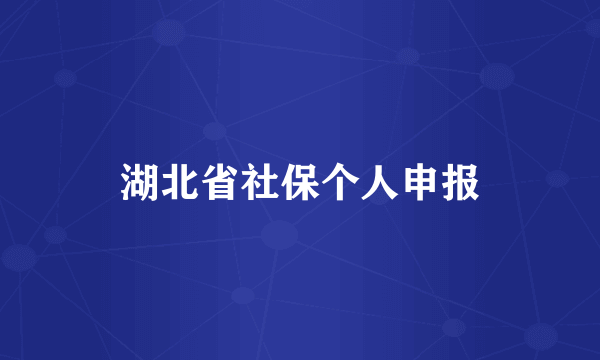 湖北省社保个人申报