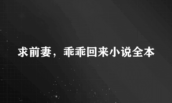 求前妻，乖乖回来小说全本
