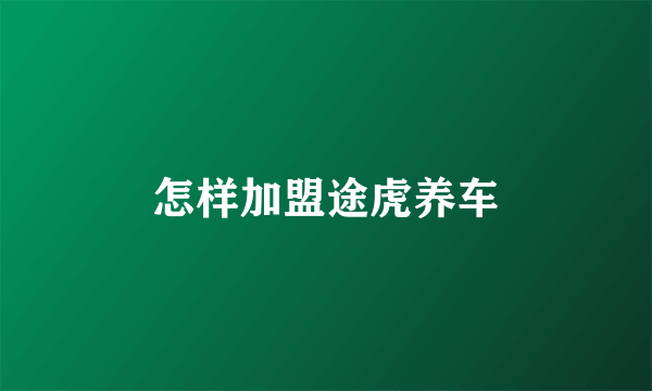 怎样加盟途虎养车