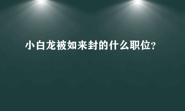 小白龙被如来封的什么职位？