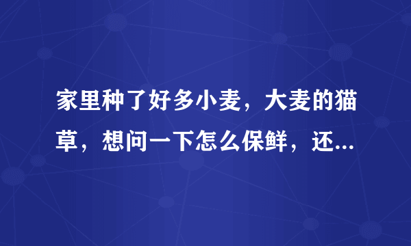 家里种了好多小麦，大麦的猫草，想问一下怎么保鲜，还是晒干？想卖掉一部分猫草，请问有什么办法好？