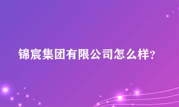 锦宸集团有限公司怎么样？