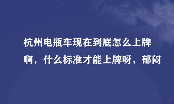 杭州电瓶车现在到底怎么上牌啊，什么标准才能上牌呀，郁闷