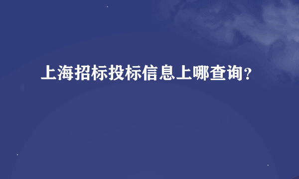 上海招标投标信息上哪查询？