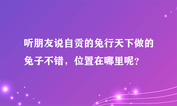 听朋友说自贡的兔行天下做的兔子不错，位置在哪里呢？