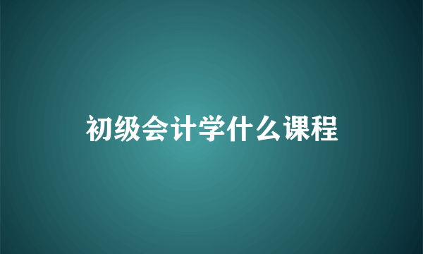 初级会计学什么课程