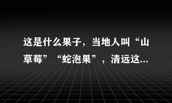 这是什么果子，当地人叫“山草莓”“蛇泡果”，清远这边山上有，求指教，好吃吗？有得卖吗？学名叫什么？
