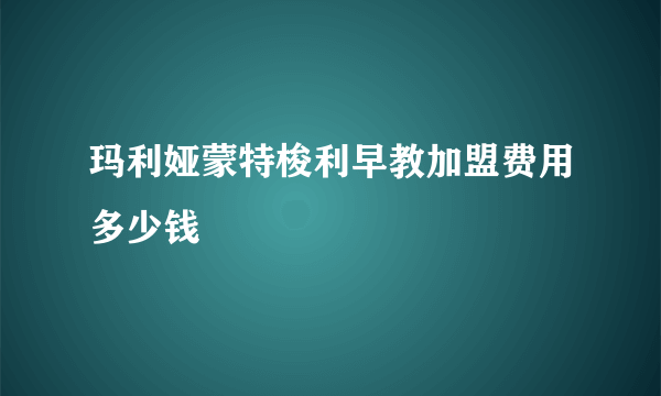 玛利娅蒙特梭利早教加盟费用多少钱