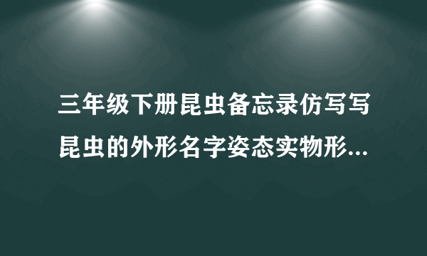 三年级下册昆虫备忘录仿写写昆虫的外形名字姿态实物形象特点怎么写?