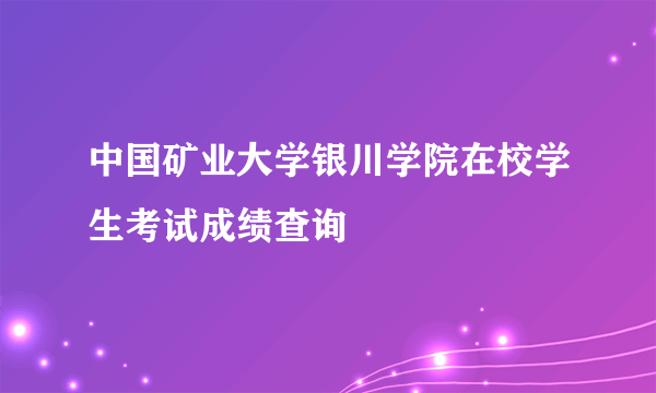 中国矿业大学银川学院在校学生考试成绩查询