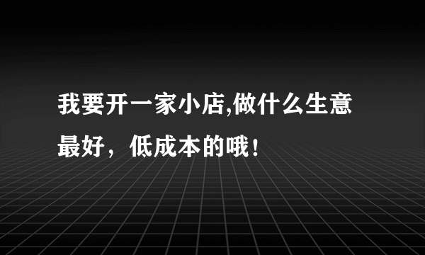 我要开一家小店,做什么生意最好，低成本的哦！