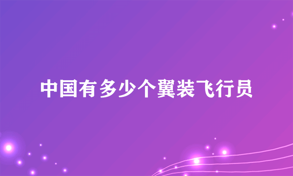 中国有多少个翼装飞行员