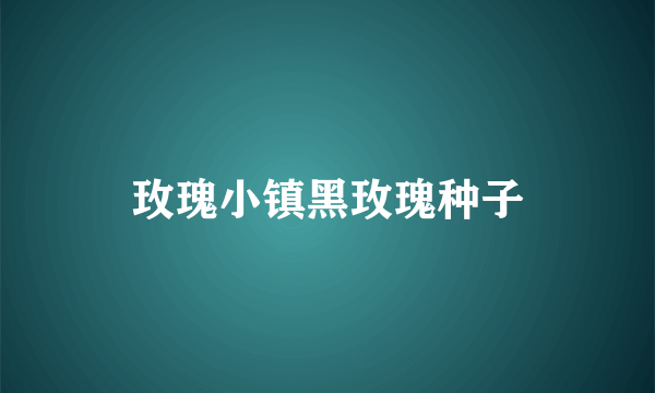 玫瑰小镇黑玫瑰种子