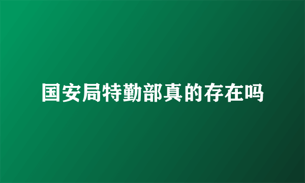 国安局特勤部真的存在吗