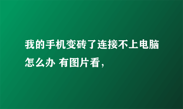 我的手机变砖了连接不上电脑怎么办 有图片看，