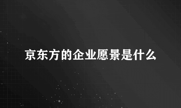 京东方的企业愿景是什么