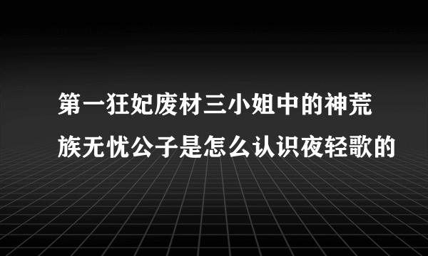 第一狂妃废材三小姐中的神荒族无忧公子是怎么认识夜轻歌的