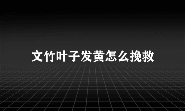 文竹叶子发黄怎么挽救