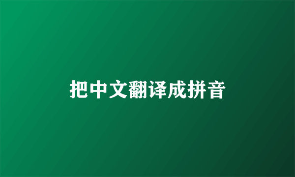把中文翻译成拼音