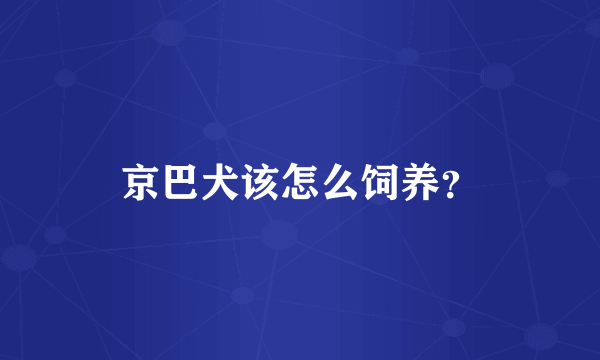 京巴犬该怎么饲养？