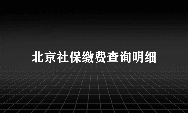 北京社保缴费查询明细