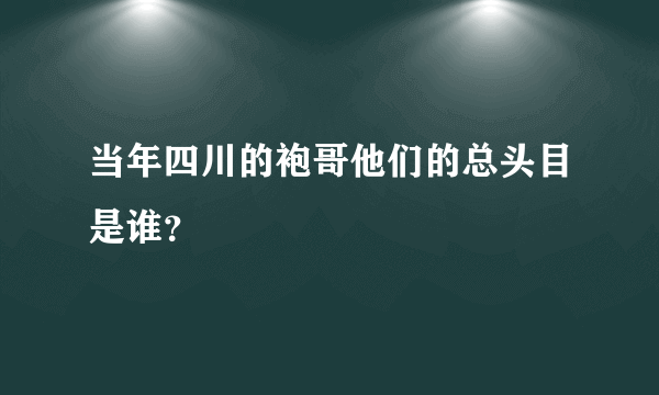 当年四川的袍哥他们的总头目是谁？