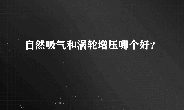 自然吸气和涡轮增压哪个好？