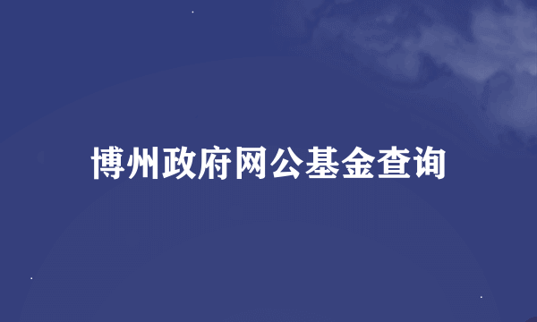 博州政府网公基金查询