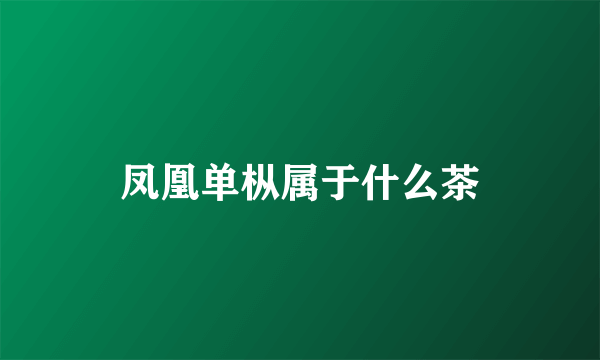 凤凰单枞属于什么茶