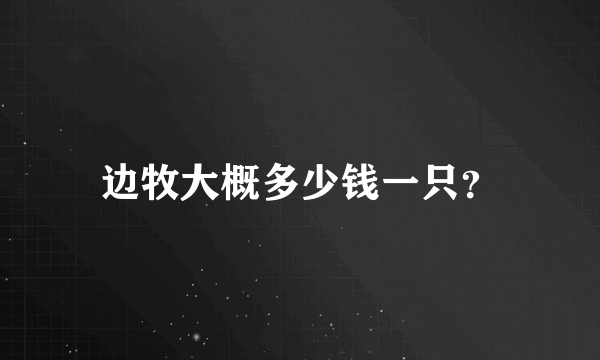 边牧大概多少钱一只？