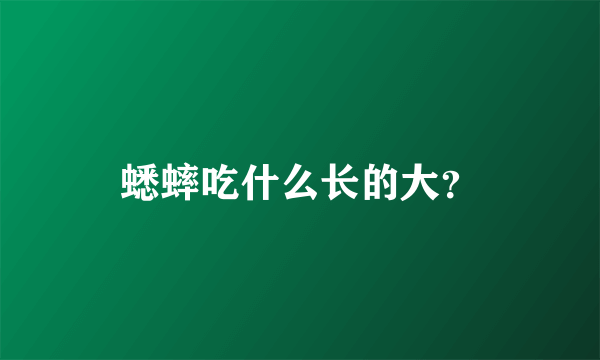 蟋蟀吃什么长的大？