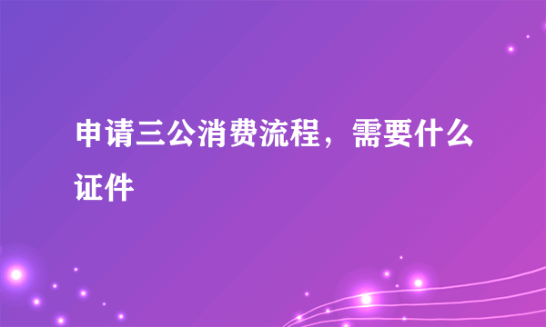 申请三公消费流程，需要什么证件