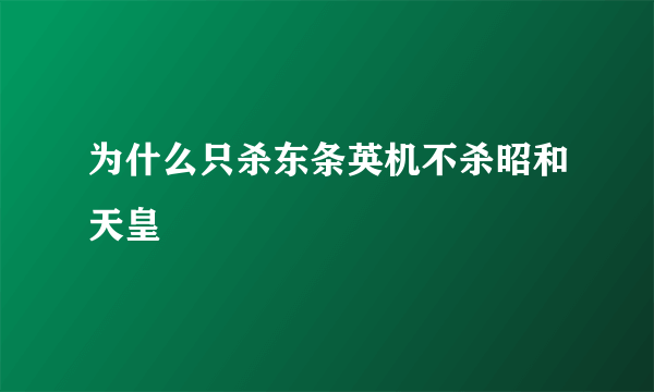 为什么只杀东条英机不杀昭和天皇