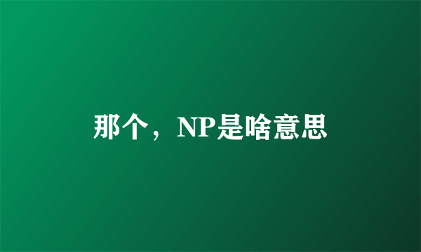 那个，NP是啥意思