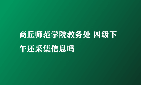 商丘师范学院教务处 四级下午还采集信息吗