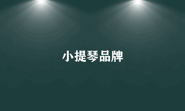 小提琴品牌