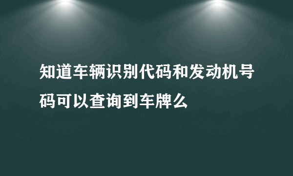 知道车辆识别代码和发动机号码可以查询到车牌么