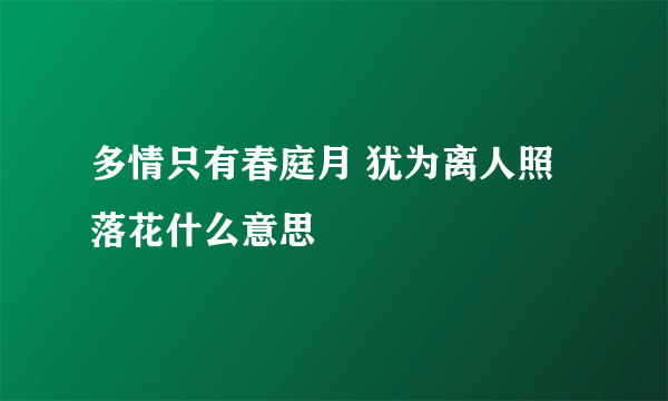 多情只有春庭月 犹为离人照落花什么意思