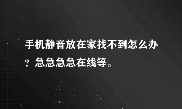 手机静音放在家找不到怎么办？急急急急在线等。