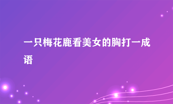 一只梅花鹿看美女的胸打一成语
