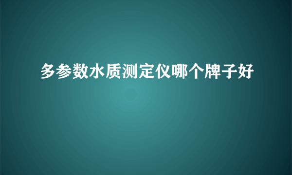 多参数水质测定仪哪个牌子好