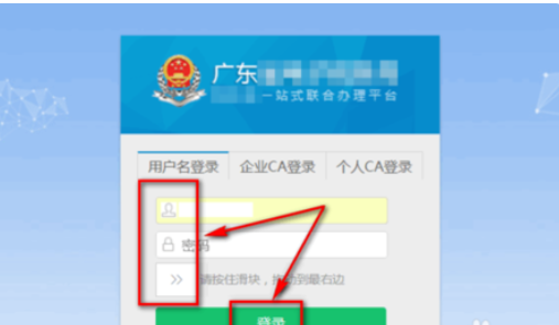浙江国税电子缴税付款凭证怎么打印