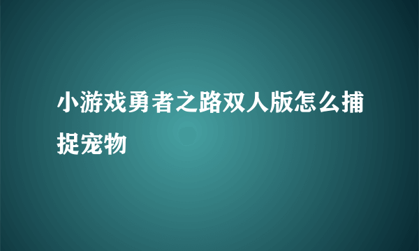 小游戏勇者之路双人版怎么捕捉宠物