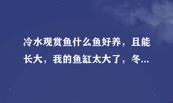 冷水观赏鱼什么鱼好养，且能长大，我的鱼缸太大了，冬天加热是在抢不住啊，电费太厉害了