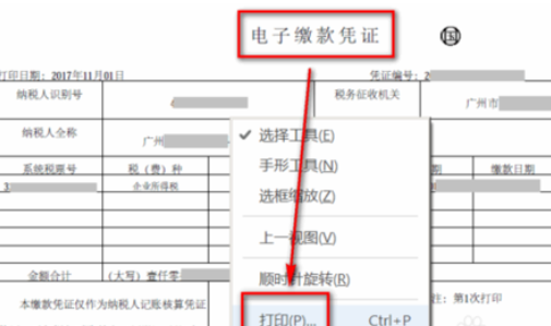 浙江国税电子缴税付款凭证怎么打印