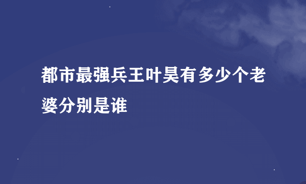 都市最强兵王叶昊有多少个老婆分别是谁
