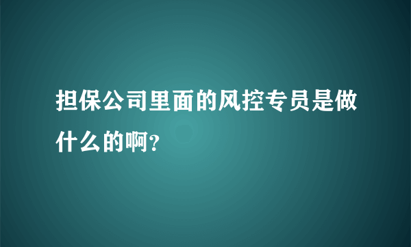 担保公司里面的风控专员是做什么的啊？